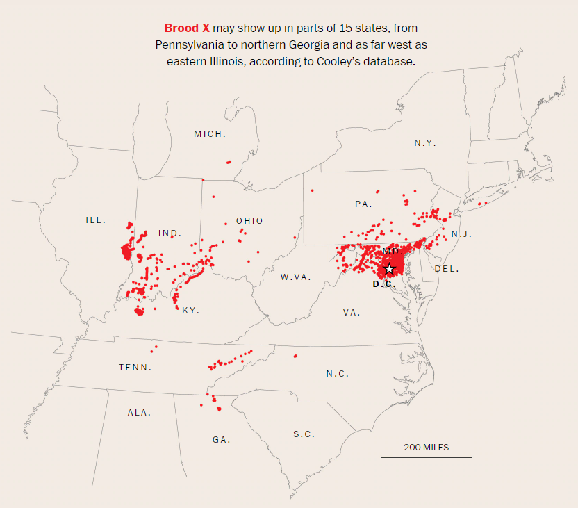 cicada map